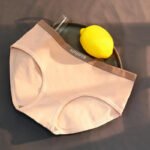 3 PCS-Triumph Premium Cotton Mid-Waist Panties for Women | Soft, Breathable & Seamless Comfort - Image 2